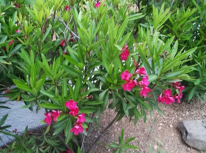 Philippos Apartmán *