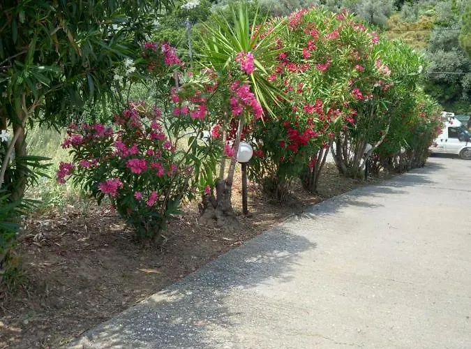 Philippos Apartament *